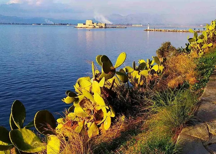 Robert's Flat In The Centre Town 公寓 纳夫普利翁