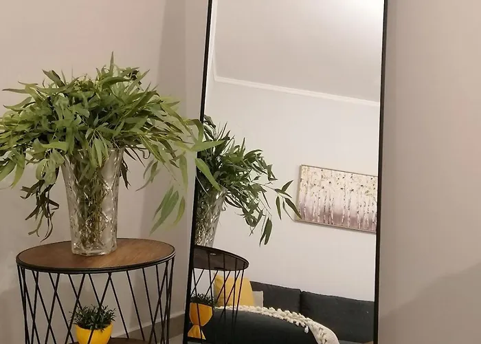 Robert's Flat In The Centre Town *