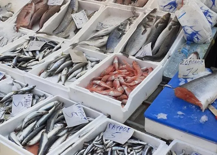 Robert's Flat In The Centre Town 公寓