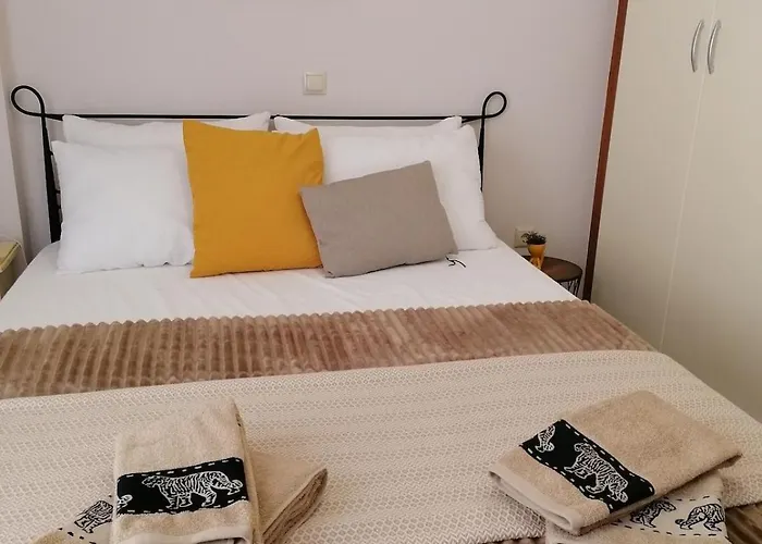 Robert's Flat In The Centre Town